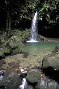 Emerald Pool Waterfall, Dominica